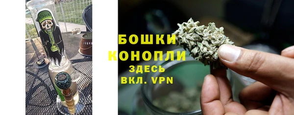 бошки Белокуриха