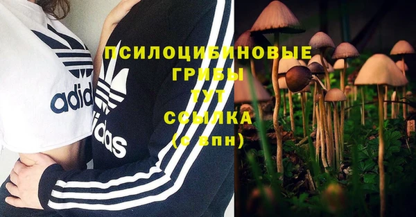 бошки Белокуриха