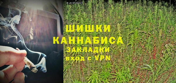 бошки Белокуриха