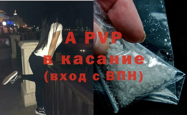 бошки Белокуриха