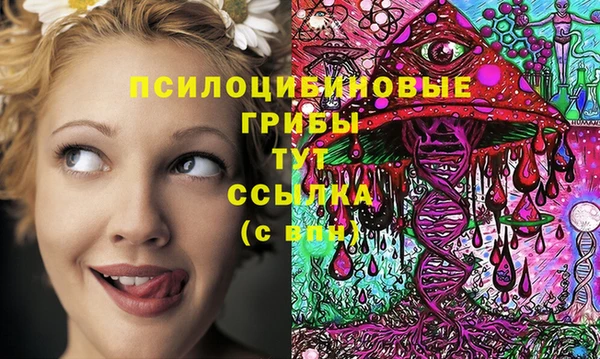 бошки Белокуриха