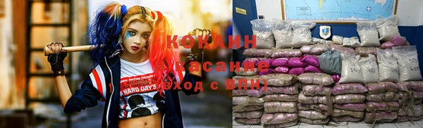бошки Белокуриха